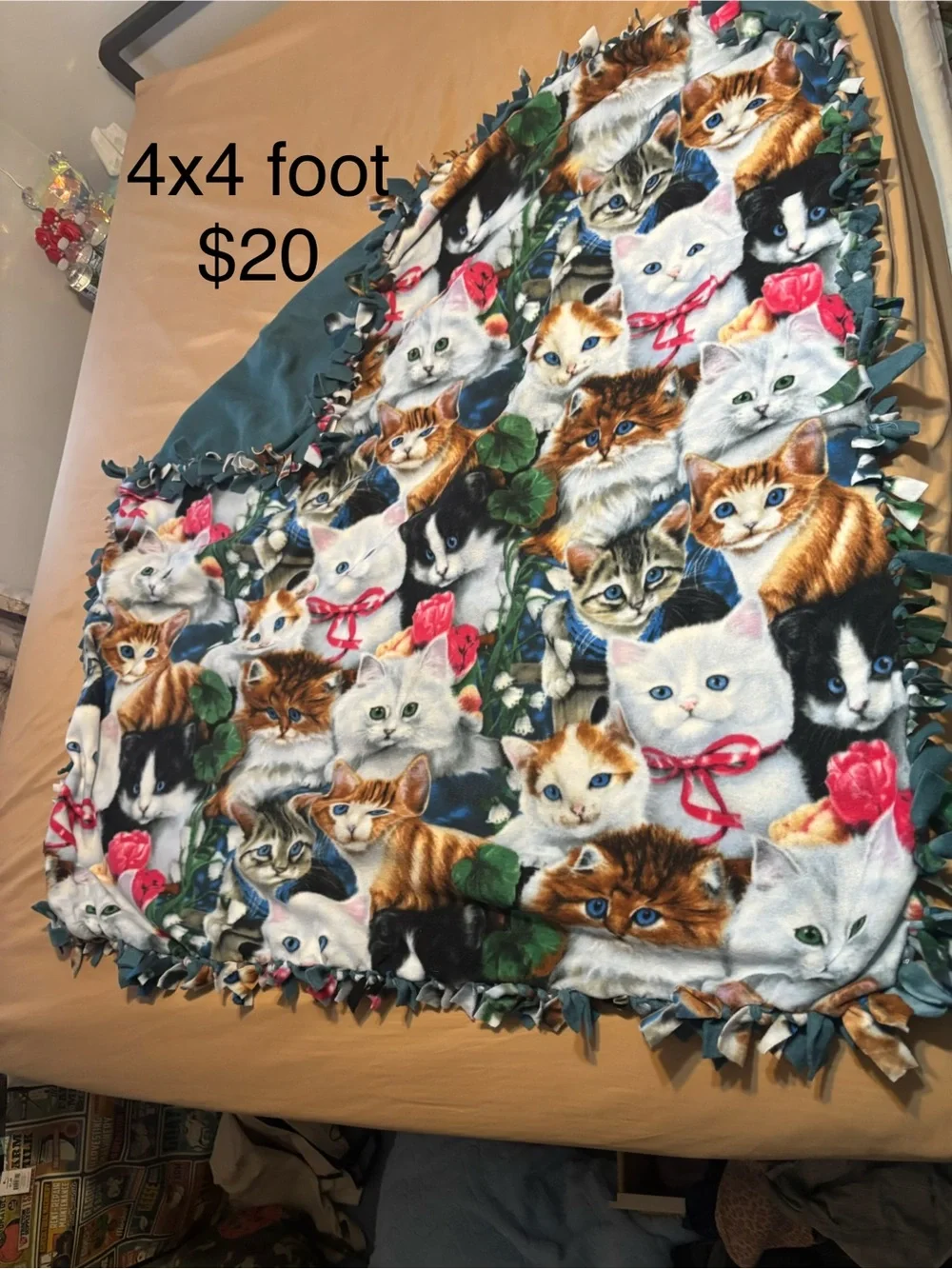 Cozy Multicolor Cat Fleece Throw with Teal Backing
